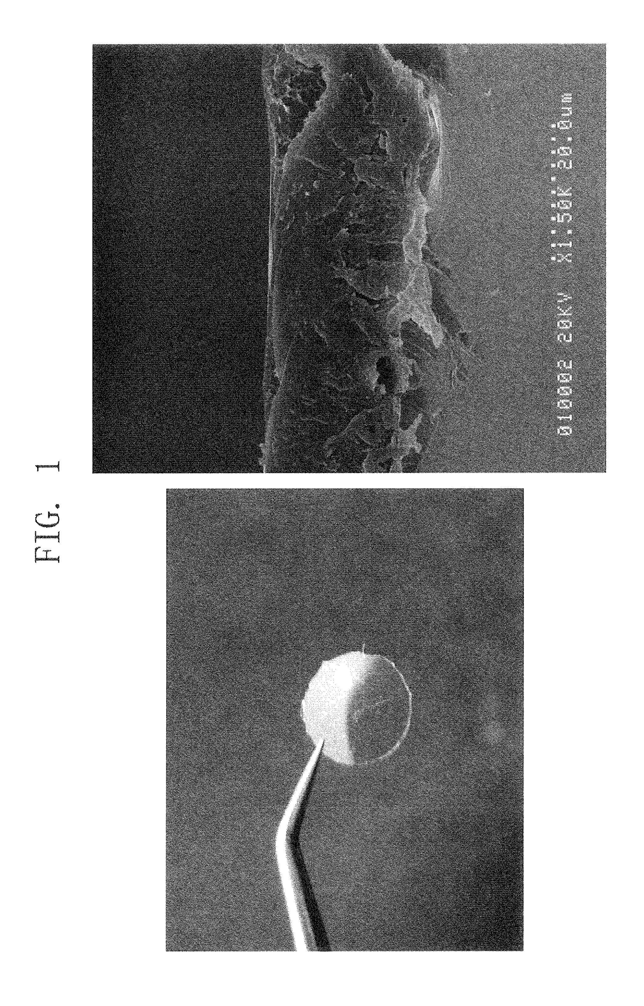 Artificial eardrum using silk protein and method of fabricating the same