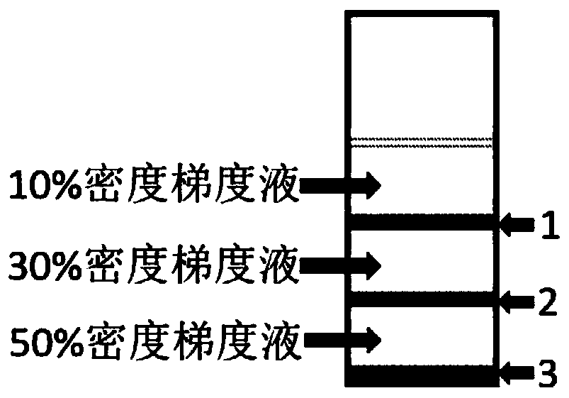 Method for separating out single-size indium nanocubes by means of onion extracting solutions