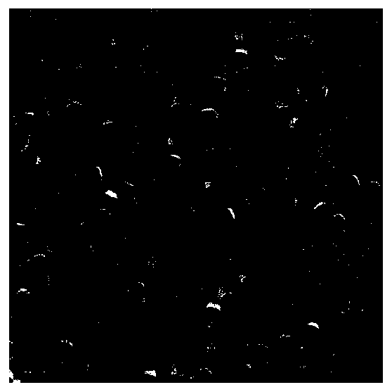 Method for separating out single-size indium nanocubes by means of onion extracting solutions