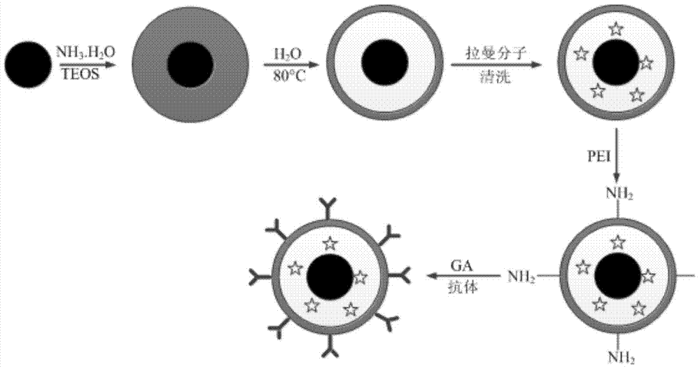 A fluorescent-sers dual-mode super-resolution imaging probe and its preparation method and use method