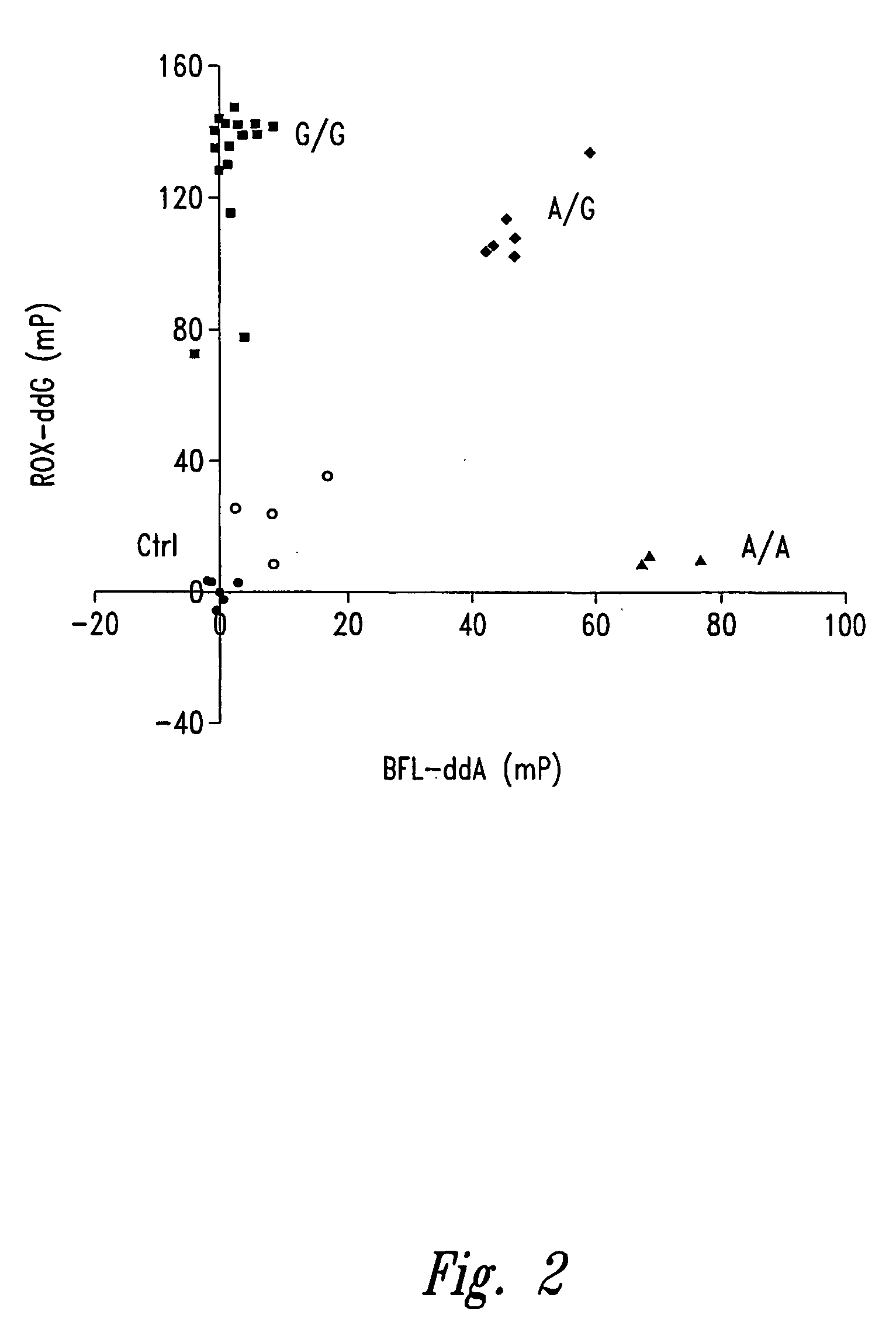 Methods for identifying nucleotides at defined positions in target nucleic acids using fluorescence polarization