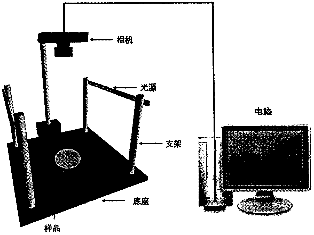 A method for non-destructive grading of apple chips