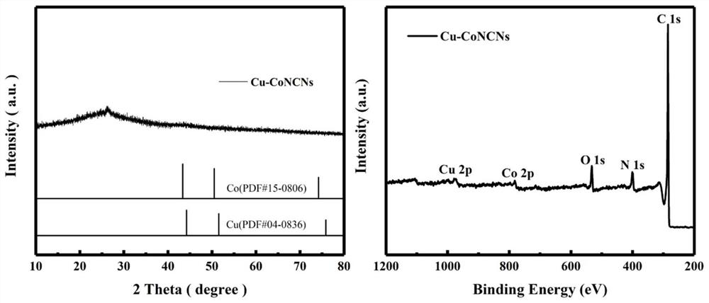 Folic acid derived Cu-CoNCNs catalyst and preparation and application thereof