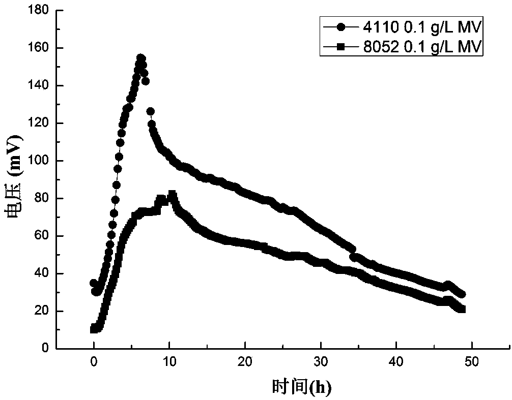 Method for improving electricity generation of clostridium beijerinckii and application thereof