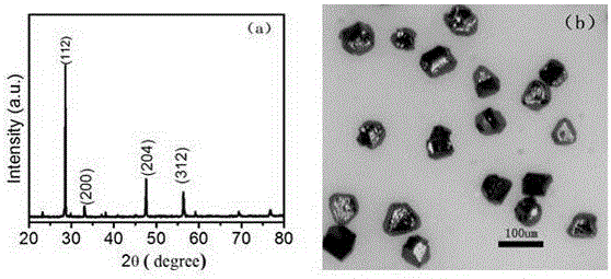 A kind of copper-iron-zinc-tin-sulfur micron single crystal particle and its preparation method and its application in the preparation of solar cells