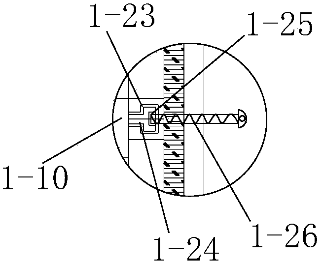 Method for accelerating flowering of rebutia minuscula