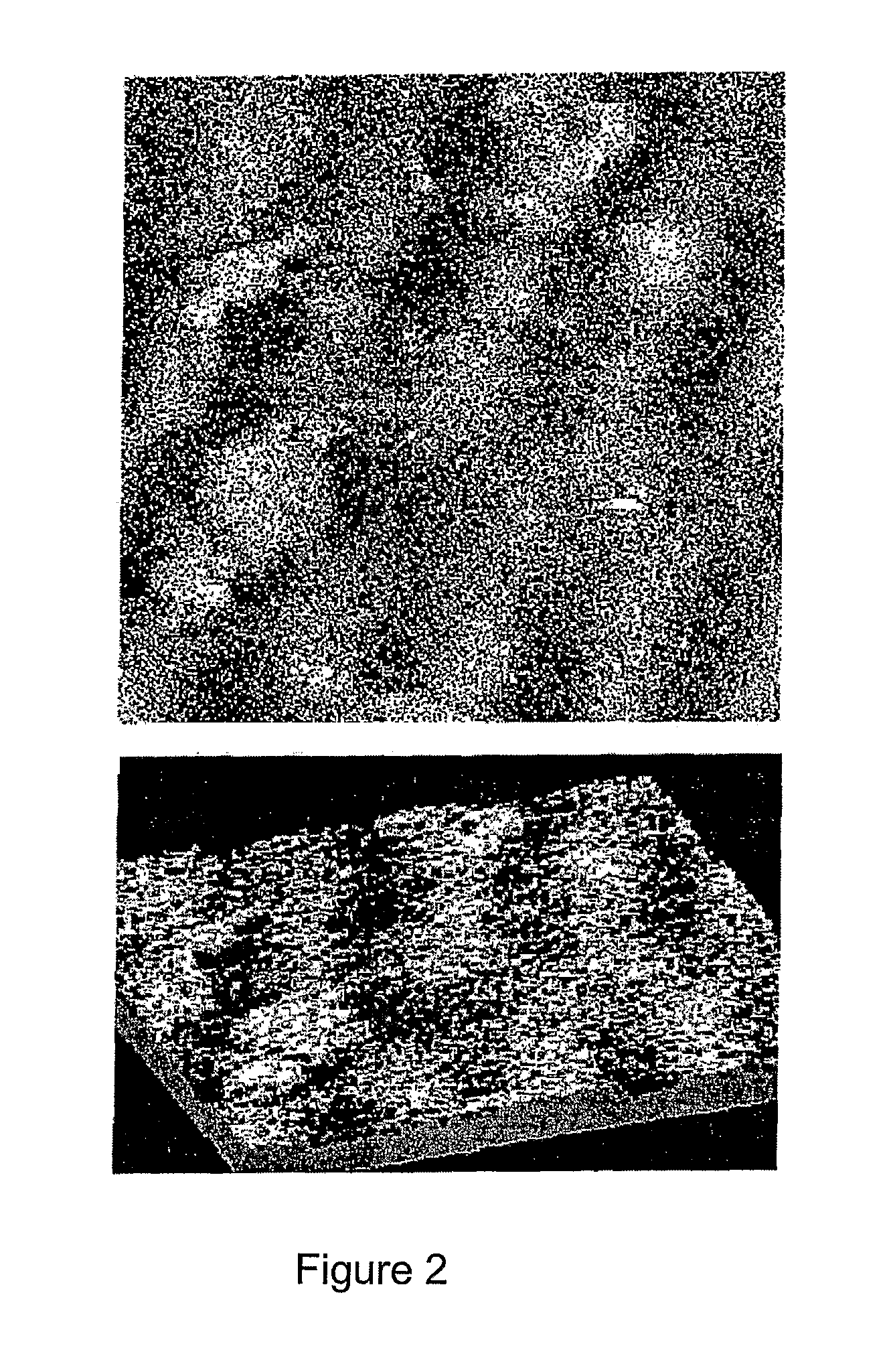 Process for preparing magnetic graphitic materials, and materials thereof