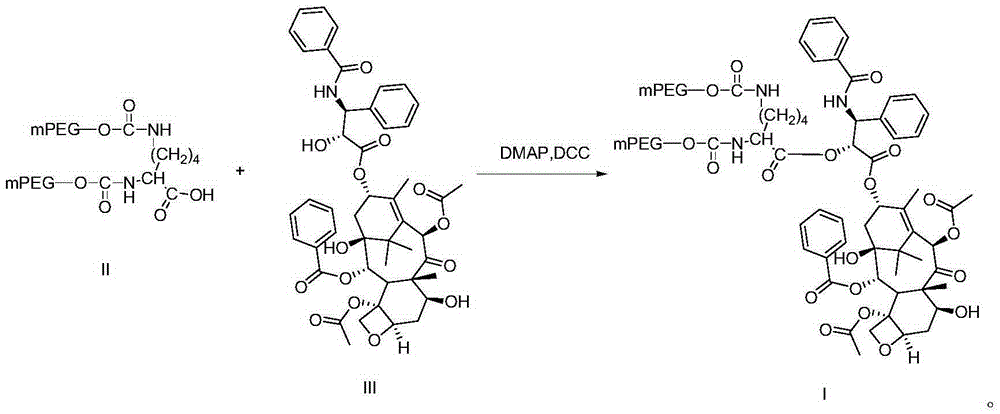 Paclitaxel modified by branched polyethylene glycol and preparation method of paclitaxel
