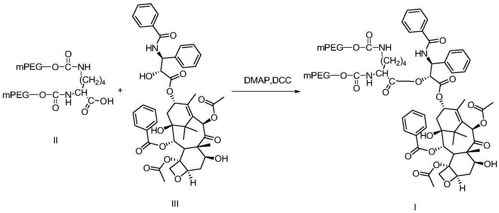 Paclitaxel modified by branched polyethylene glycol and preparation method of paclitaxel