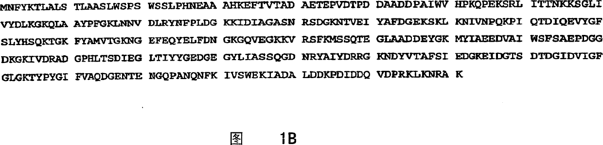 Recombinant bacillus phytases and uses thereof