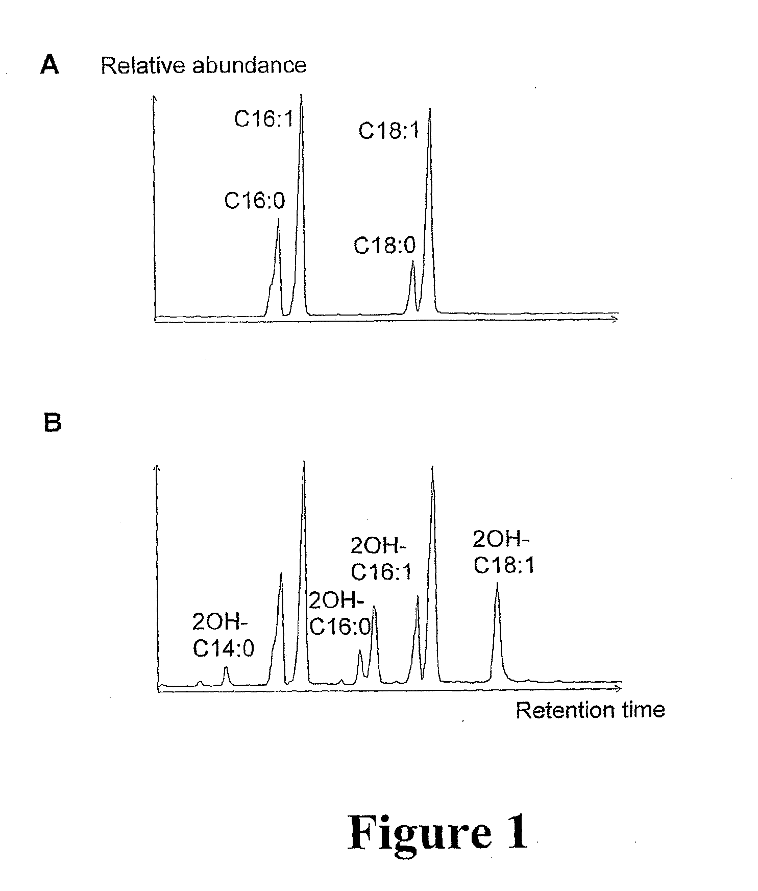 Recombinant cells and methods for hydroxylating fatty acids