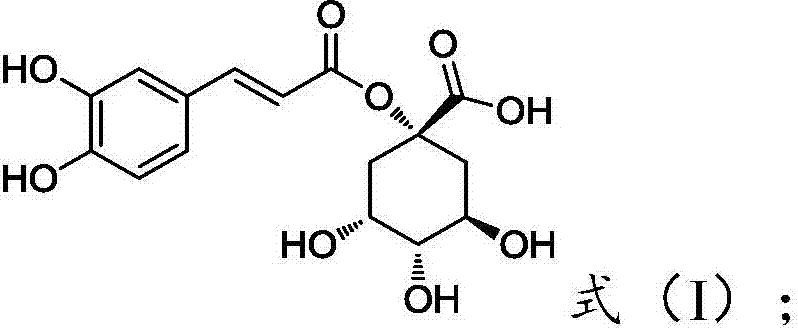 1-O-caffeoylquinic acid and derivative, preparing method and application thereof