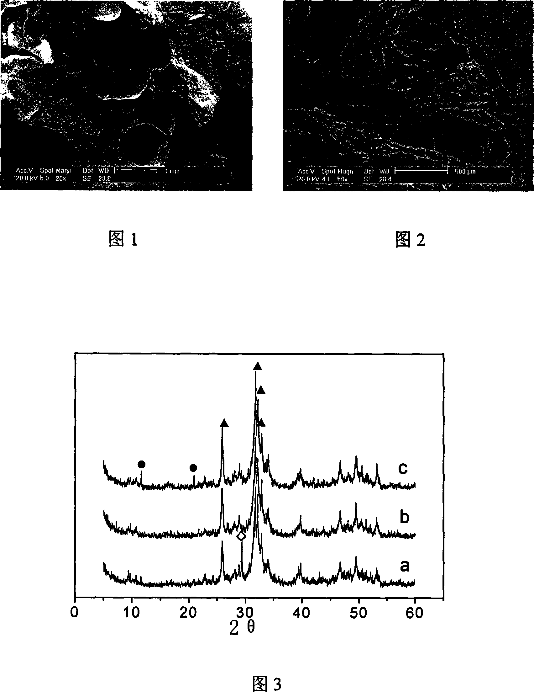 Method for preparing calcium phosphate cement/chitosan-gelatine composite porous holder