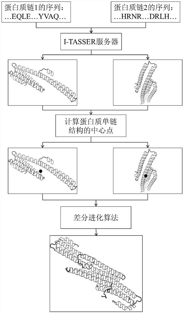 A Differential Evolution-Based Method for Predicting the Structure of Protein Dimers