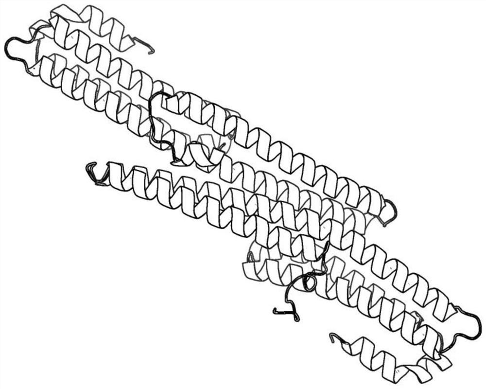 A Differential Evolution-Based Method for Predicting the Structure of Protein Dimers