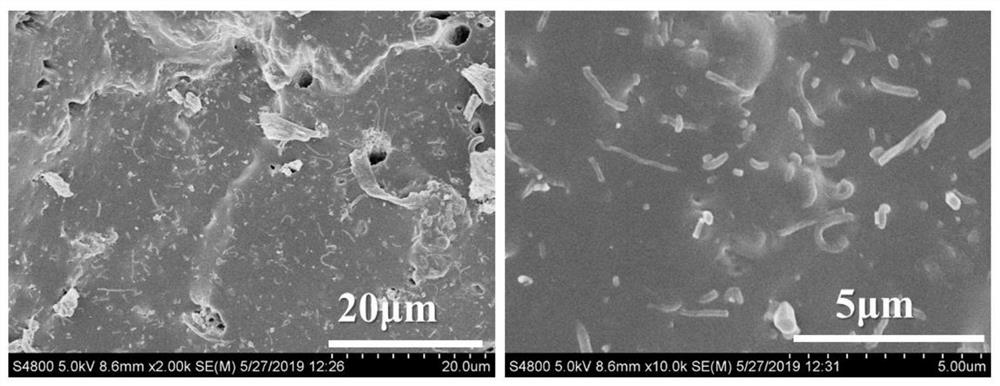 A kind of hydrogenated nitrile rubber masterbatch and its preparation method and application