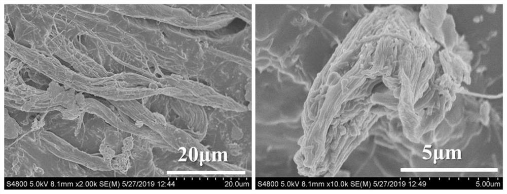 A kind of hydrogenated nitrile rubber masterbatch and its preparation method and application