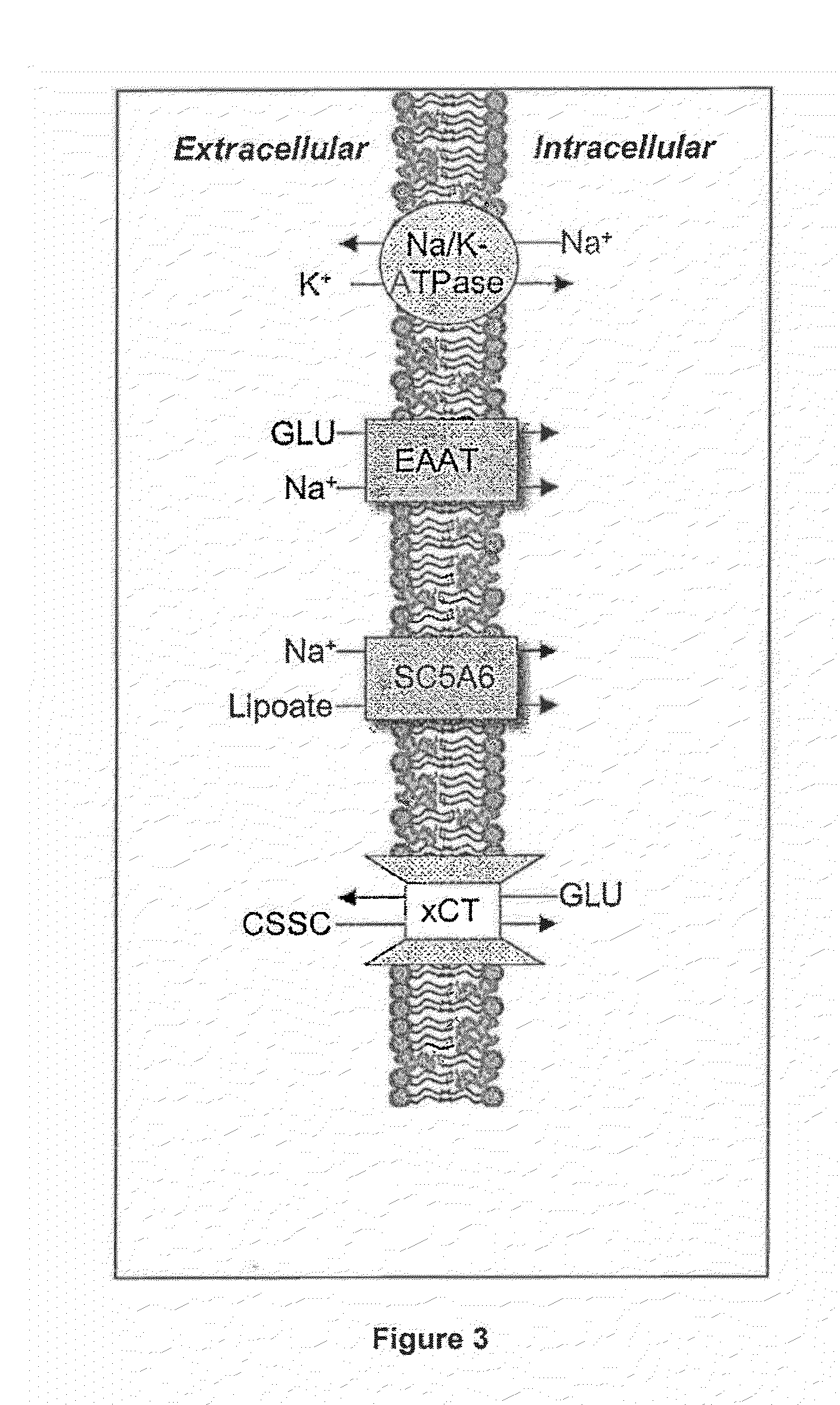 Dithiol Compounds, Derivatives, and Uses Therefor