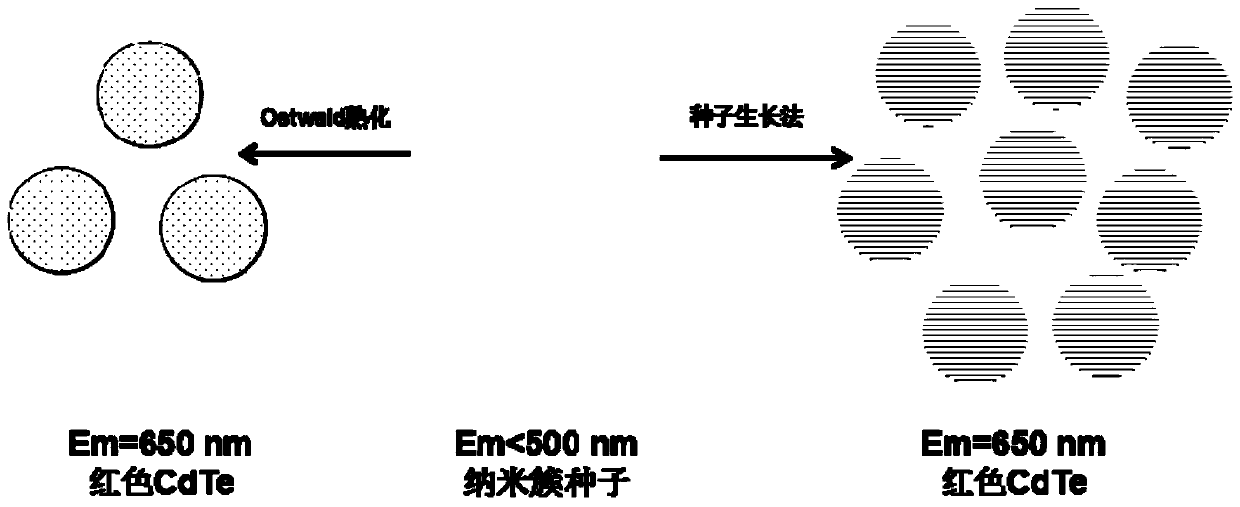 A kind of preparation method of aqueous phase quantum dot