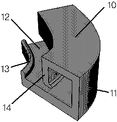Auricle shape orthosis and manufacture method thereof