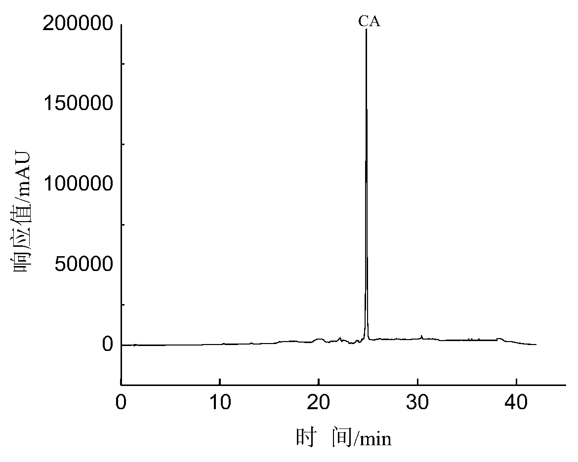 Method for separating and purifying carnosic acid from rosemary extract through atmospheric pressure column chromatography