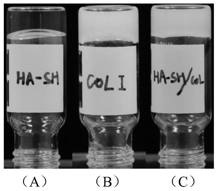 A kind of mandibular condyle osteochondral repair scaffold material and preparation method thereof