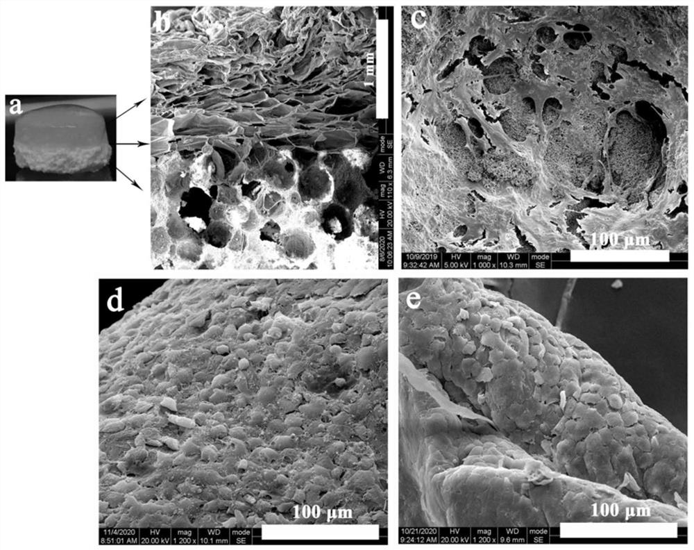 A kind of mandibular condyle osteochondral repair scaffold material and preparation method thereof