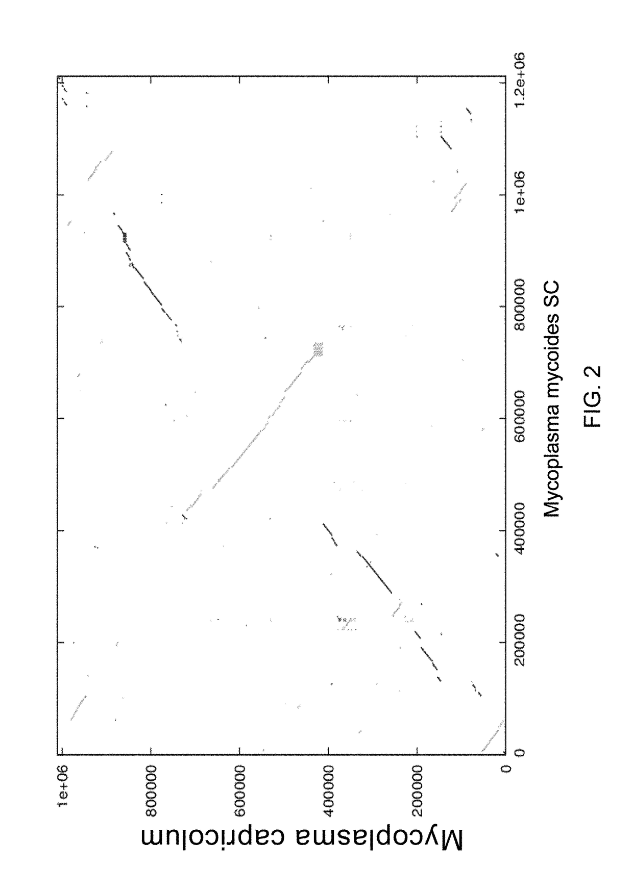 Method of nucleic acid cassette assembly