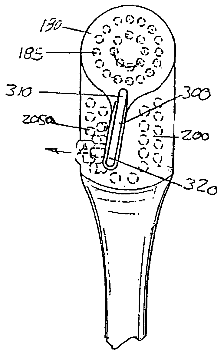 Toothbrush with linear and rotary fields