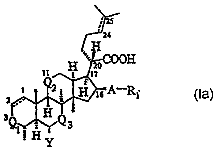 Novel fusidic acid derivatives