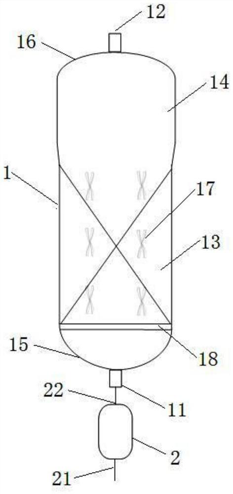 Fluidized bed reactor and reaction system