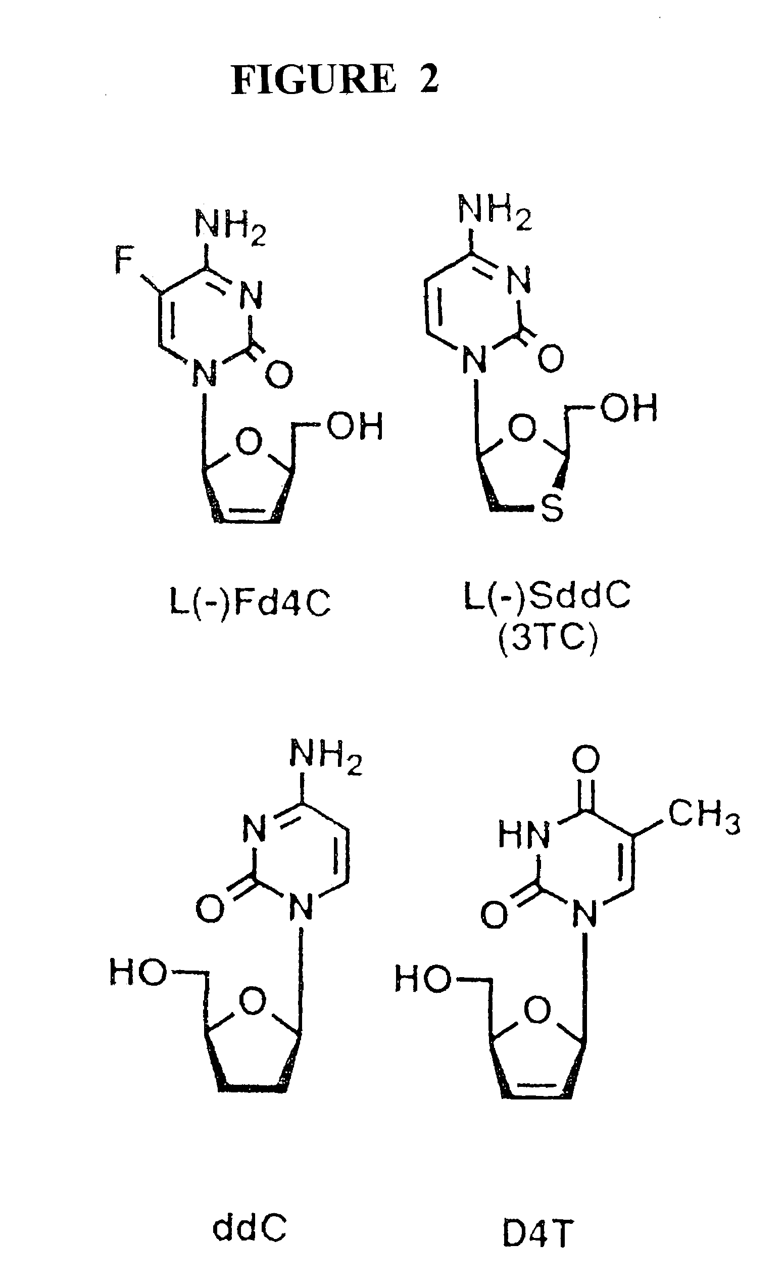 Anti-viral nucleoside analogs and methods for treating viral infections, especially HIV infections