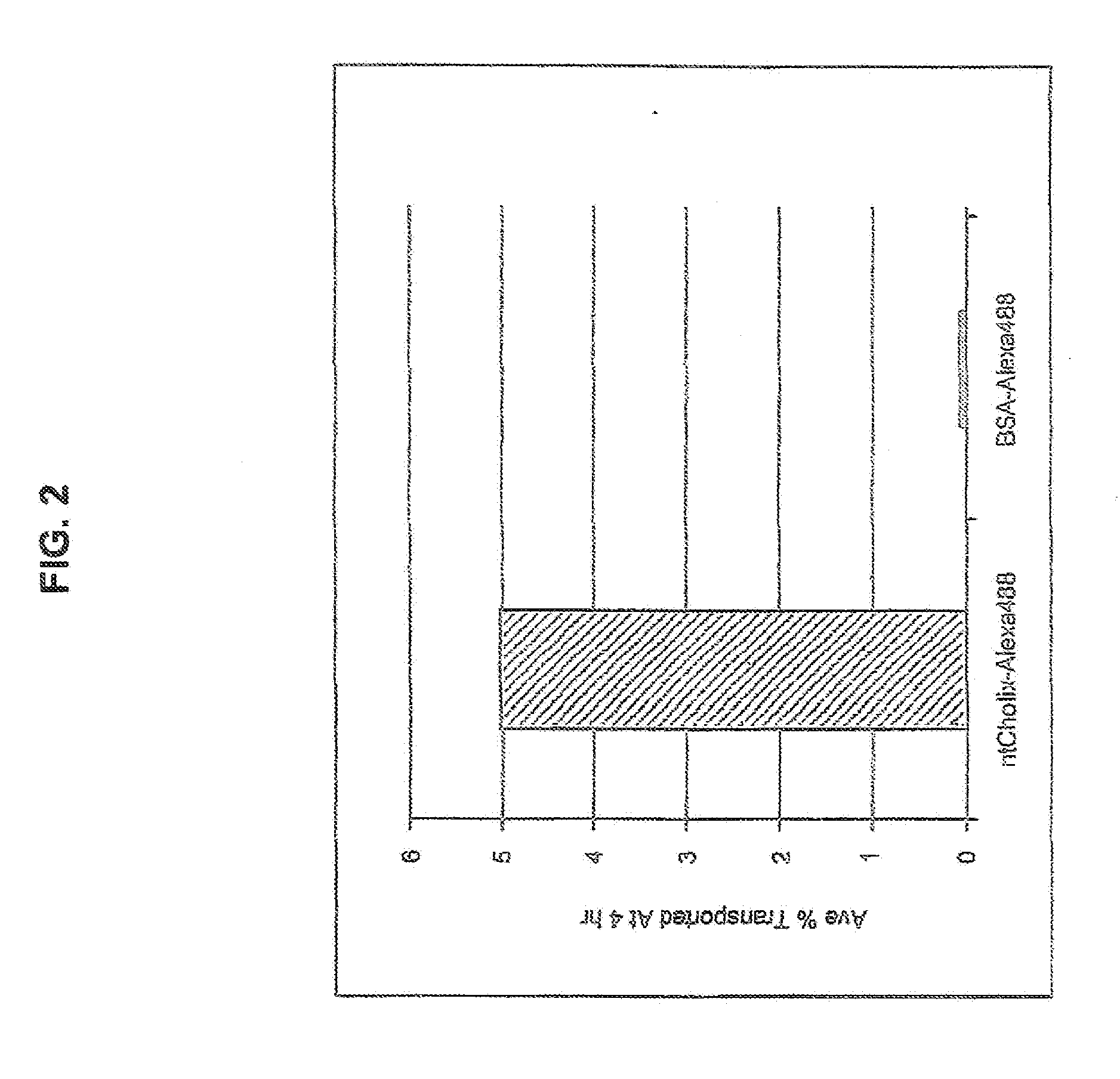 Systems and methods of delivery of bioactive agents using bacterial toxin-derived transport sequences