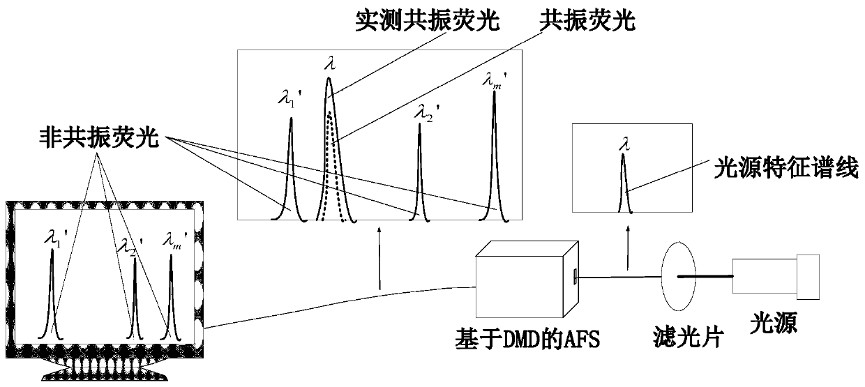 Chromatic dispersion type AFS light source scattering interference deduction method based on DMD