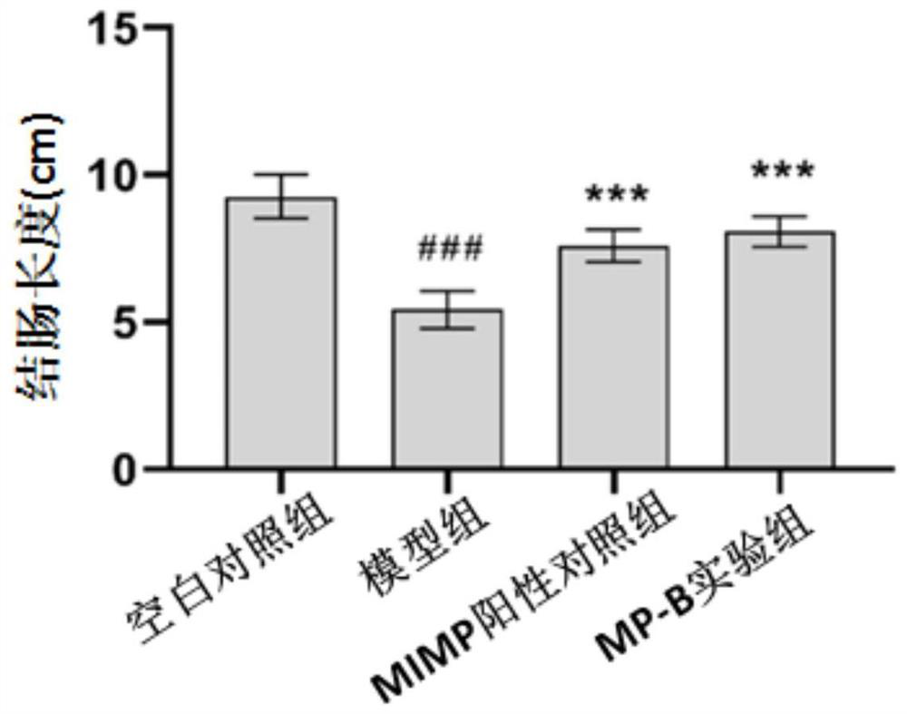 A kind of polypeptide fragment b and its application