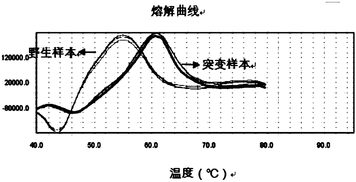 Primer probe combination for deafness gene mutation detection and application thereof