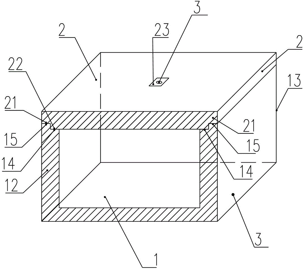 A high-concentration ozone ice hollow packaging ice box