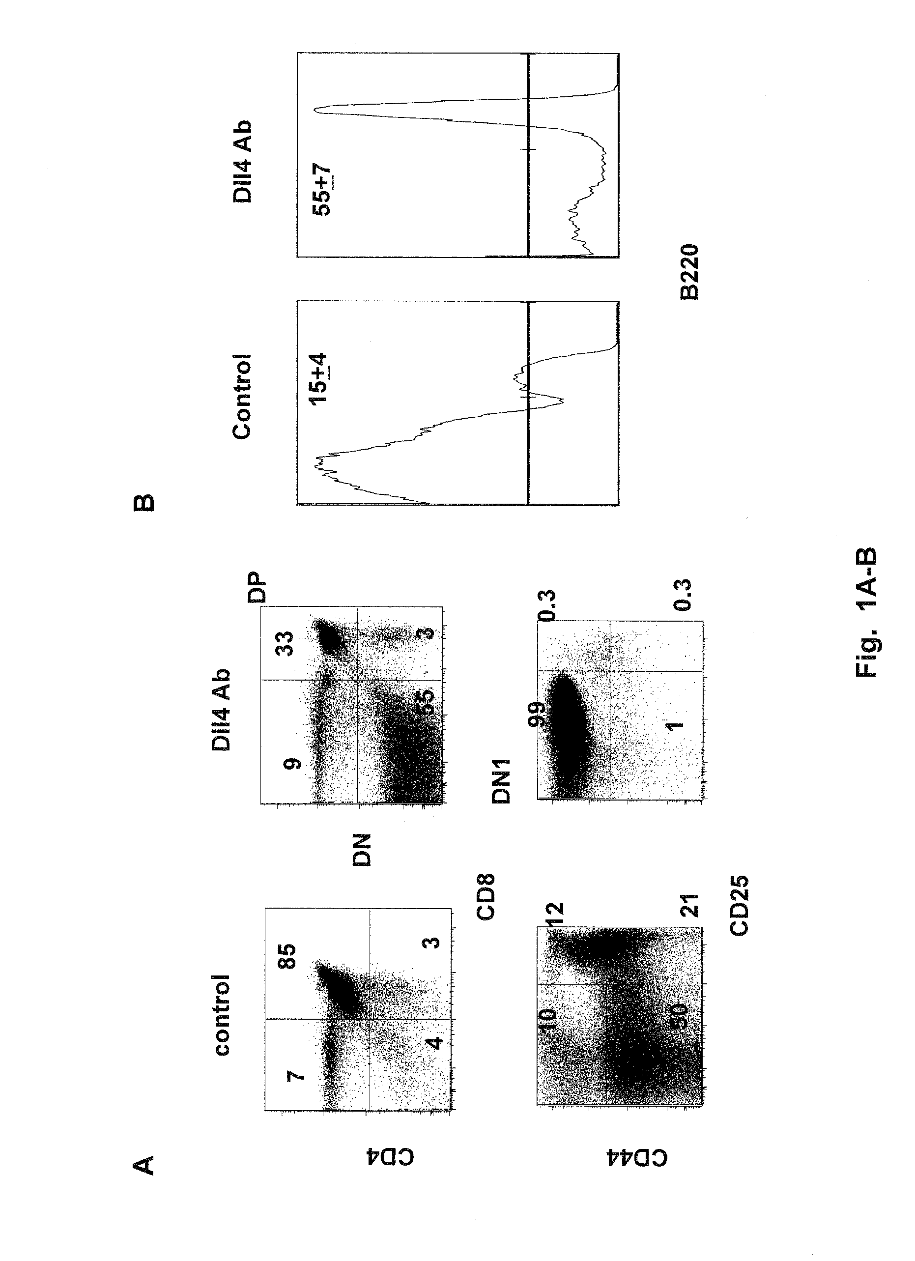 Methods of treating diseases with dll4 antagonists
