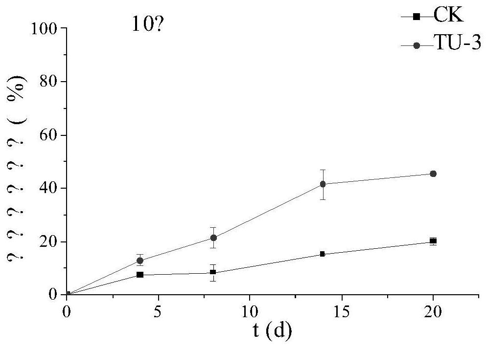 Tetracycline antibiotic degrading bacterium at low temperature and application thereof