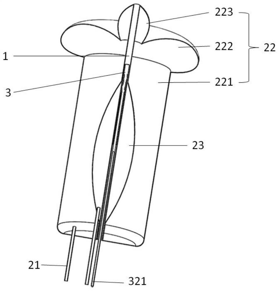 Photodynamic therapy equipment for cervical and vaginal early cancer and precancerous lesions