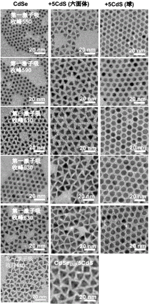 Nanocrystal-ligand complex, preparation method and application thereof