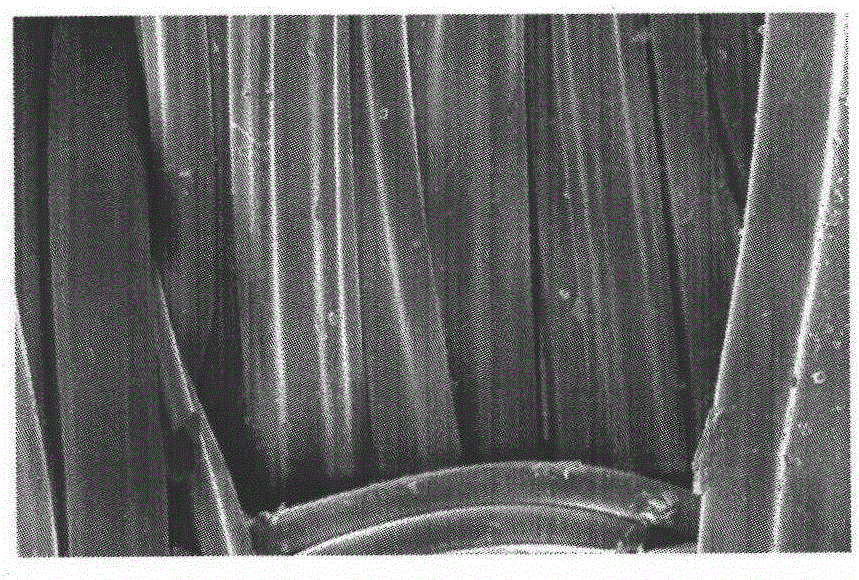 Double-cross sectional dark fiber and preparation method thereof