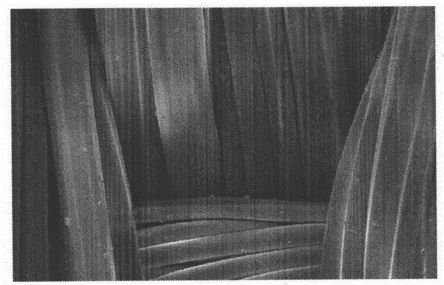 Double-cross sectional dark fiber and preparation method thereof