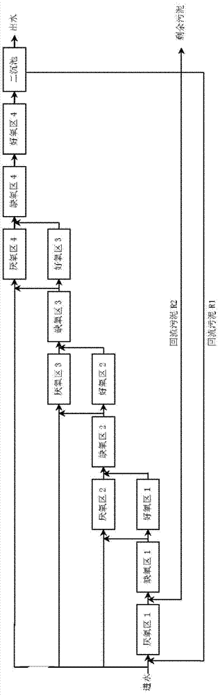 Multi-stage anaerobic anoxic aerobic biological reaction tank