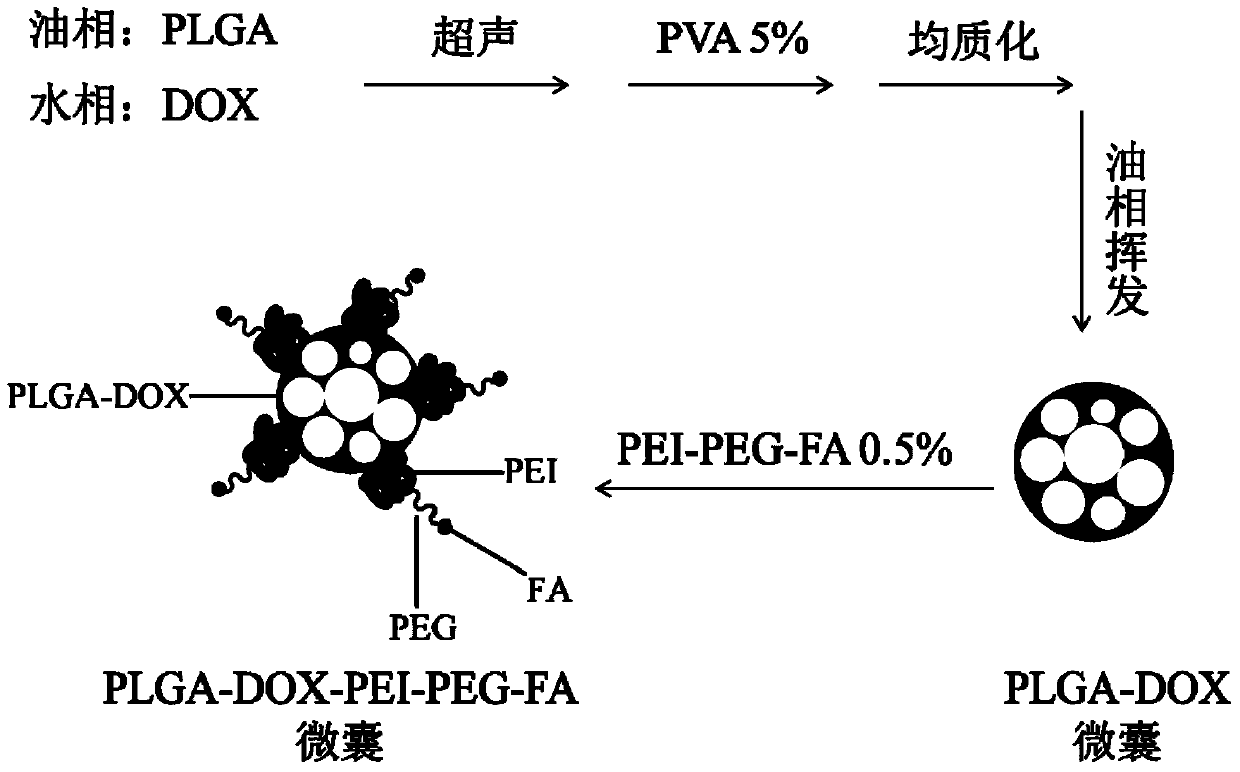 Method for preparing polyethyleneimine modified PLGA (poly(lactic-co-glycolic acid)) loading hollow micro-capsules based on polyethylene glycol and folic acid grafting