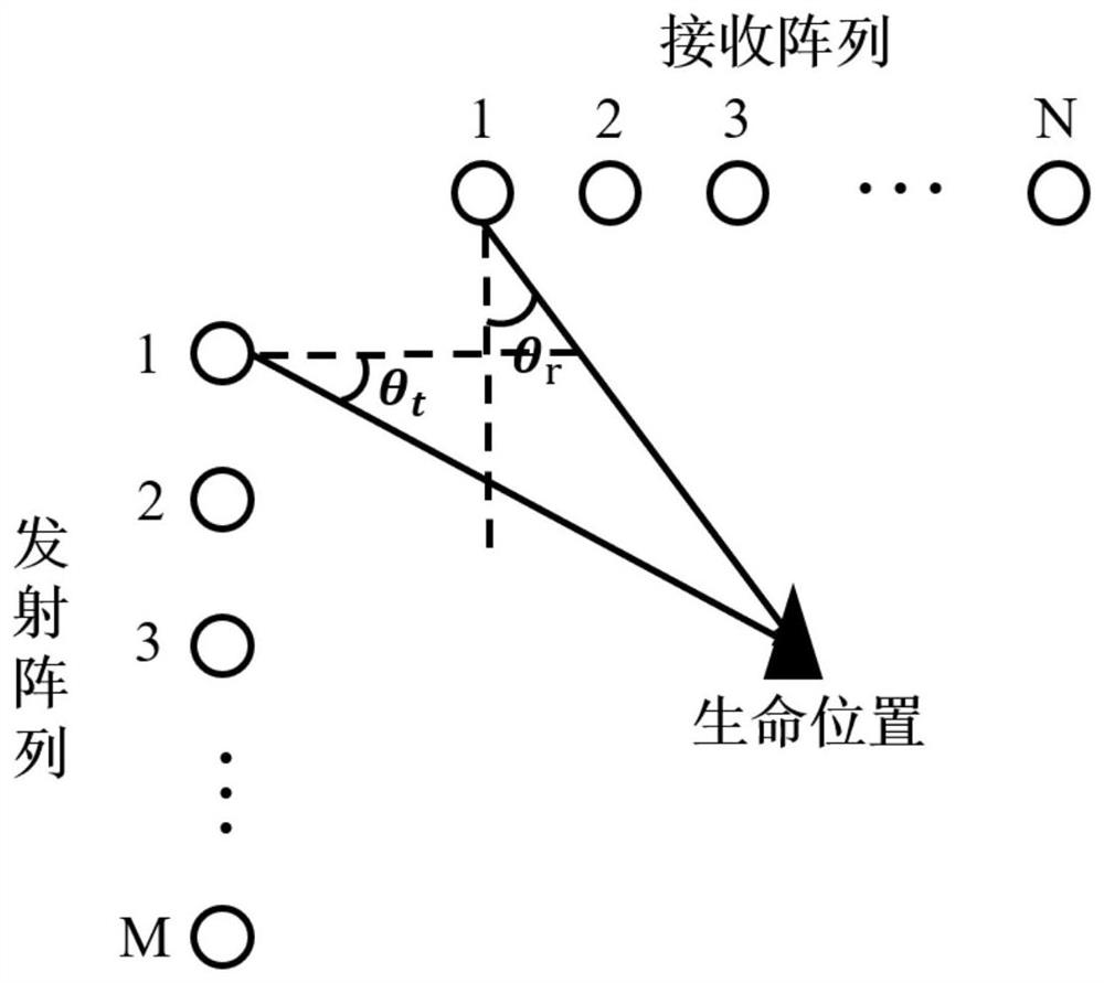 Bistatic MIMO radar life detection method based on propagation operator