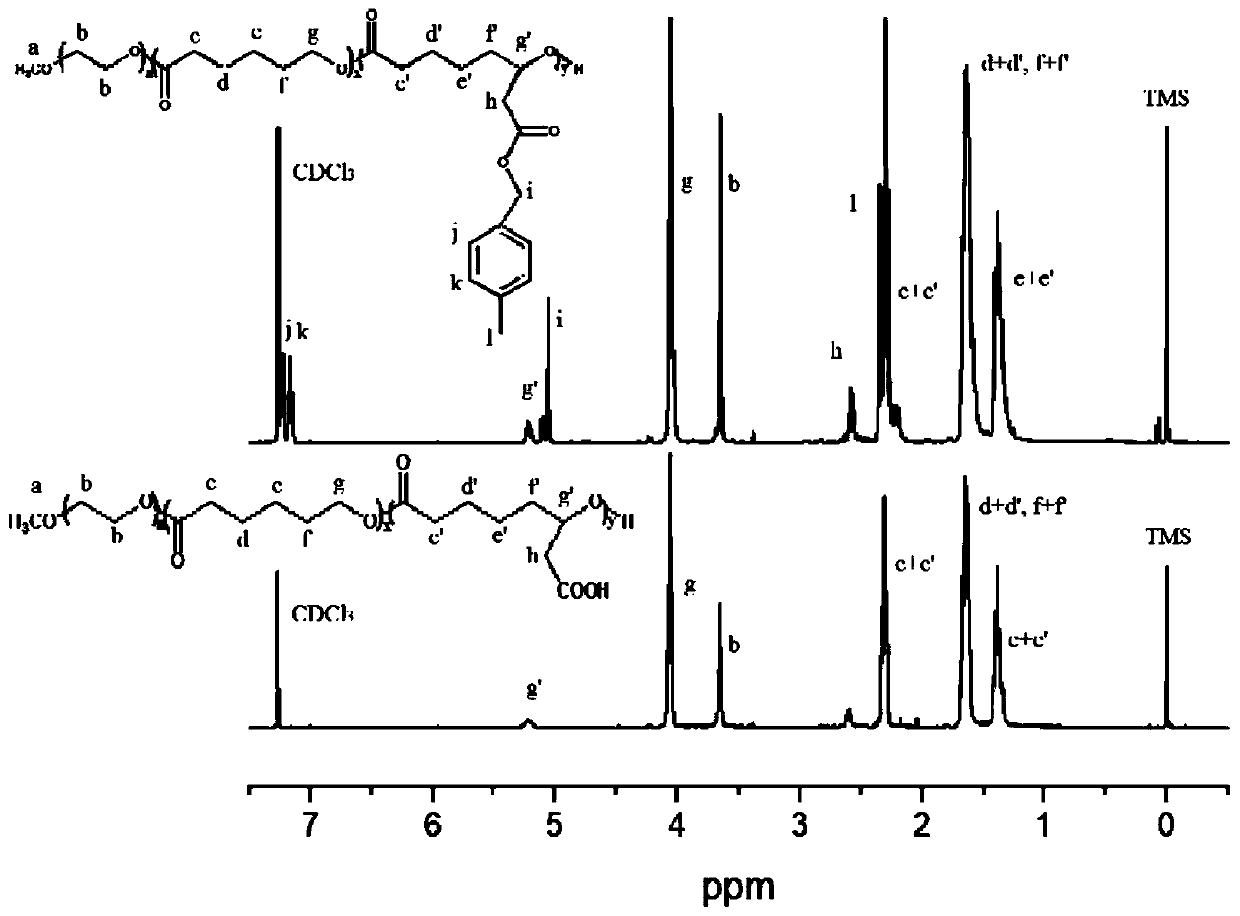 Carboxylated polycaprolactone-based 5-aminolevulinic acid methyl ester prodrug and preparation method and application thereof