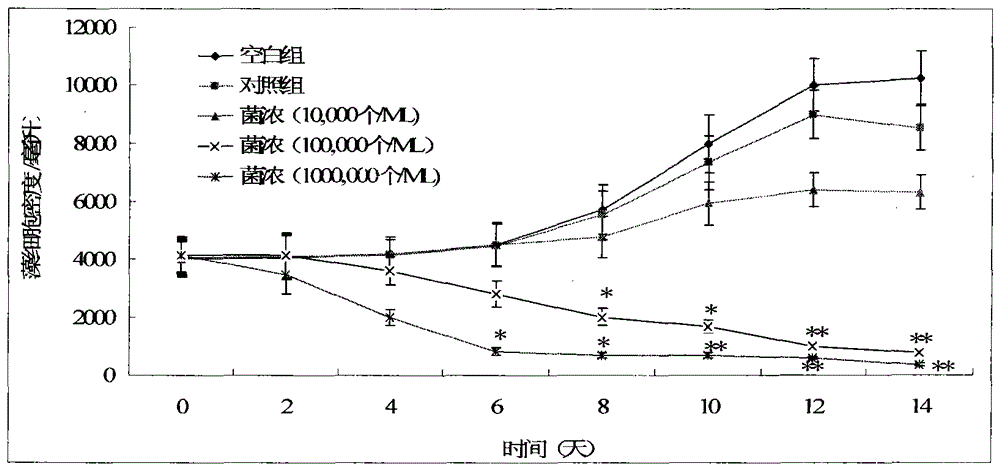 Stress-resistant Shewanella and its application in algal inhibition