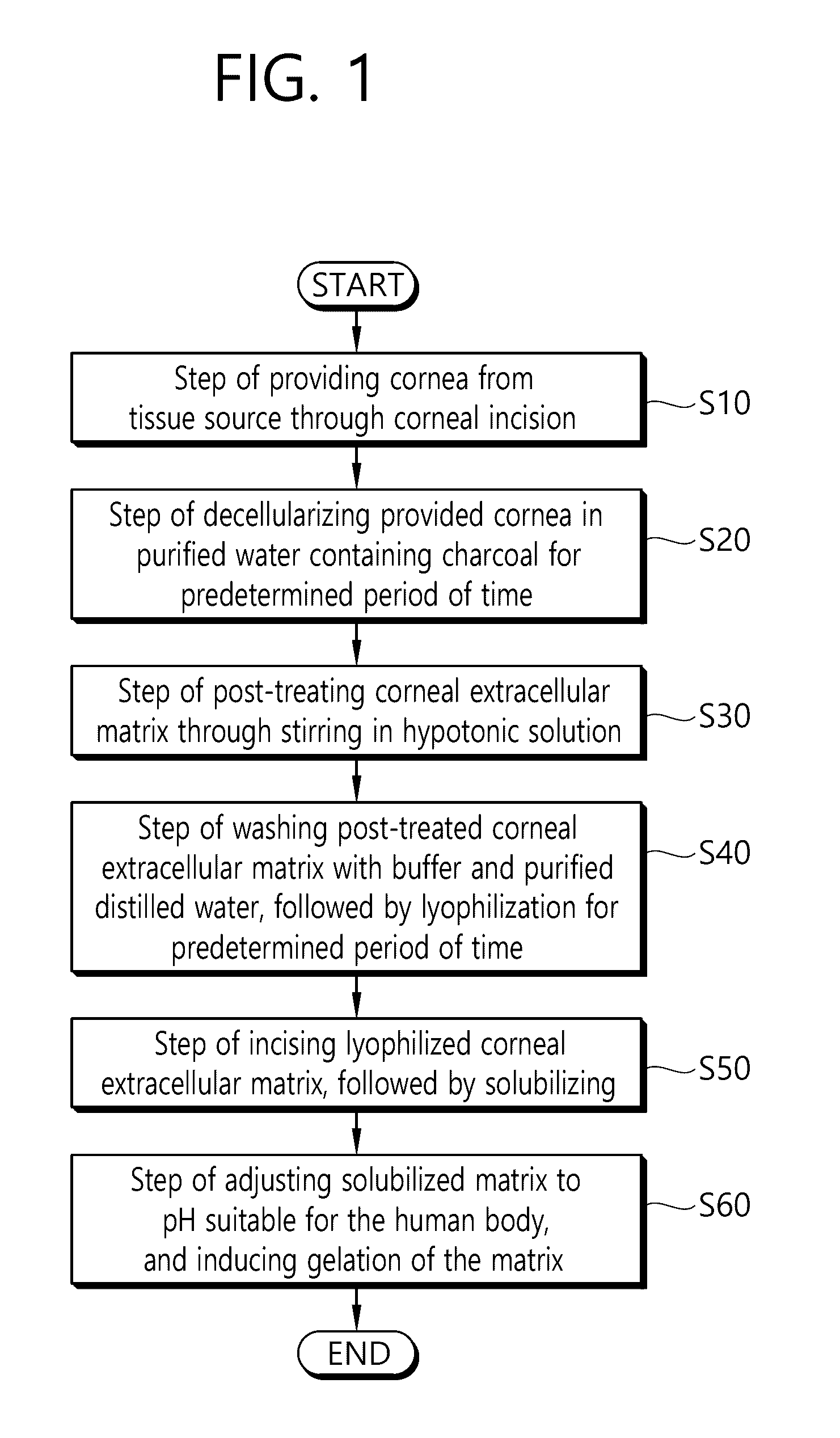 Method for preparing biocompatible cornea and decellularization composition for biocompatible tissue