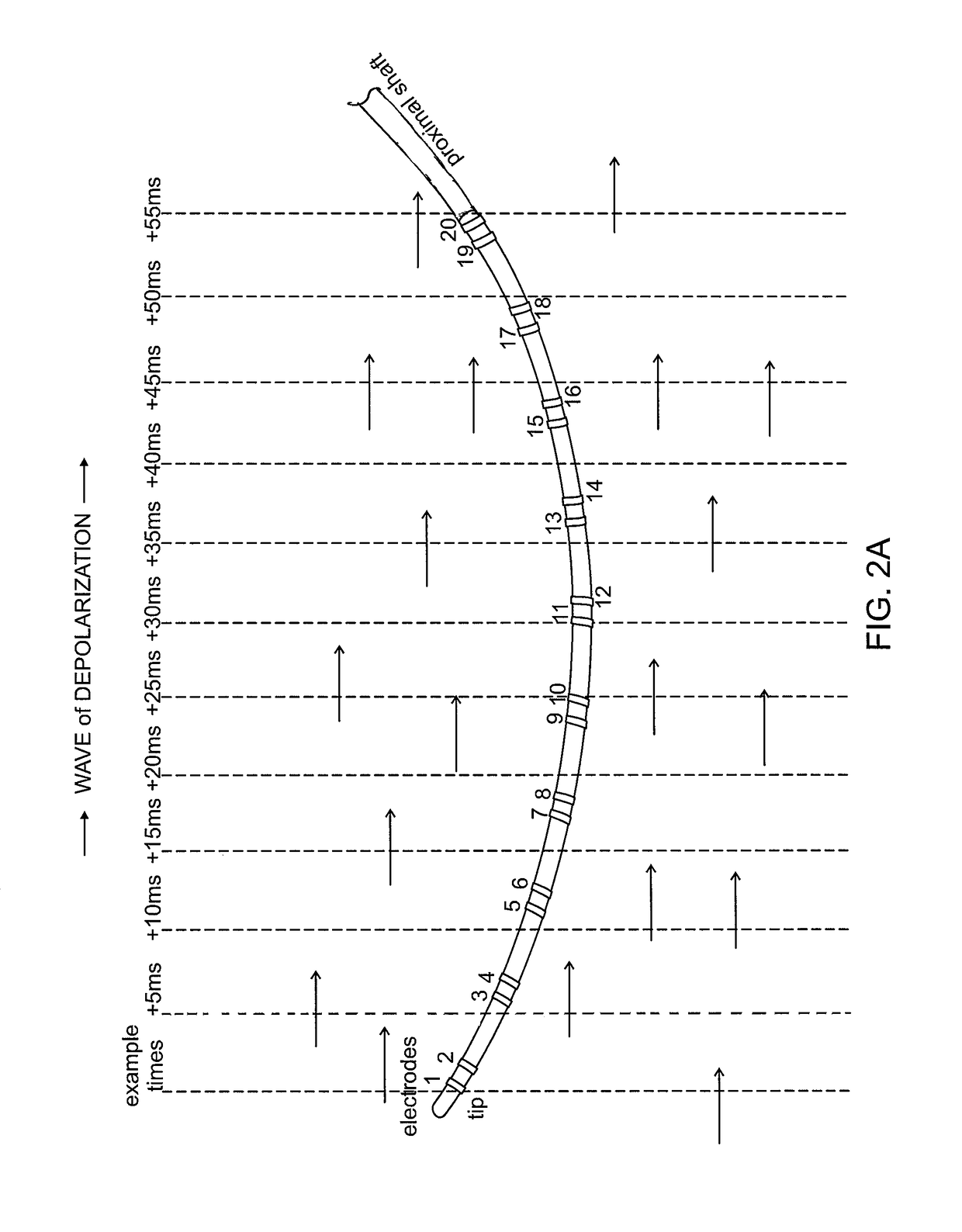 System and method for visualizing electrophysiology data